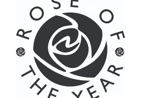 Rose of the Year
