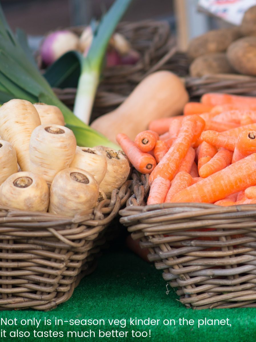 Winter Veg
