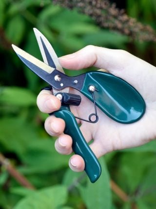 Ergo Deadheader in palm grip