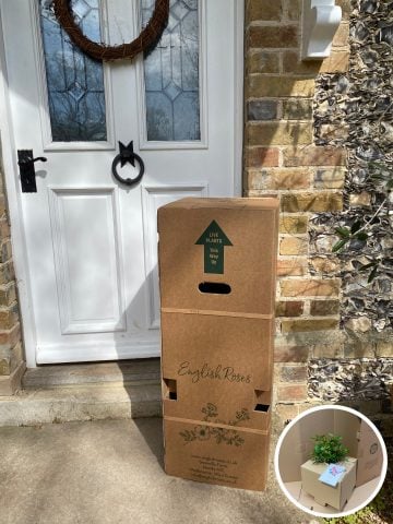 rose box on door step