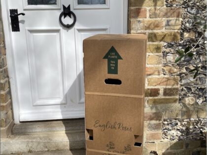 rose box delivery