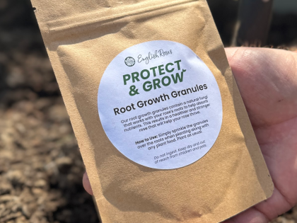 Root Growth Granules - English Roses Protect & Grow Image