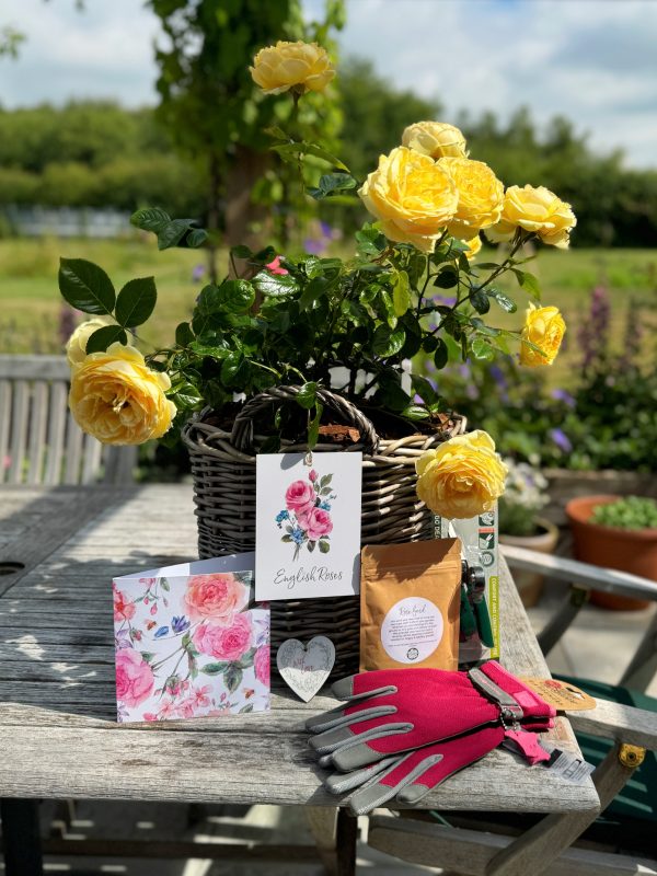 Willow basket gift wrap