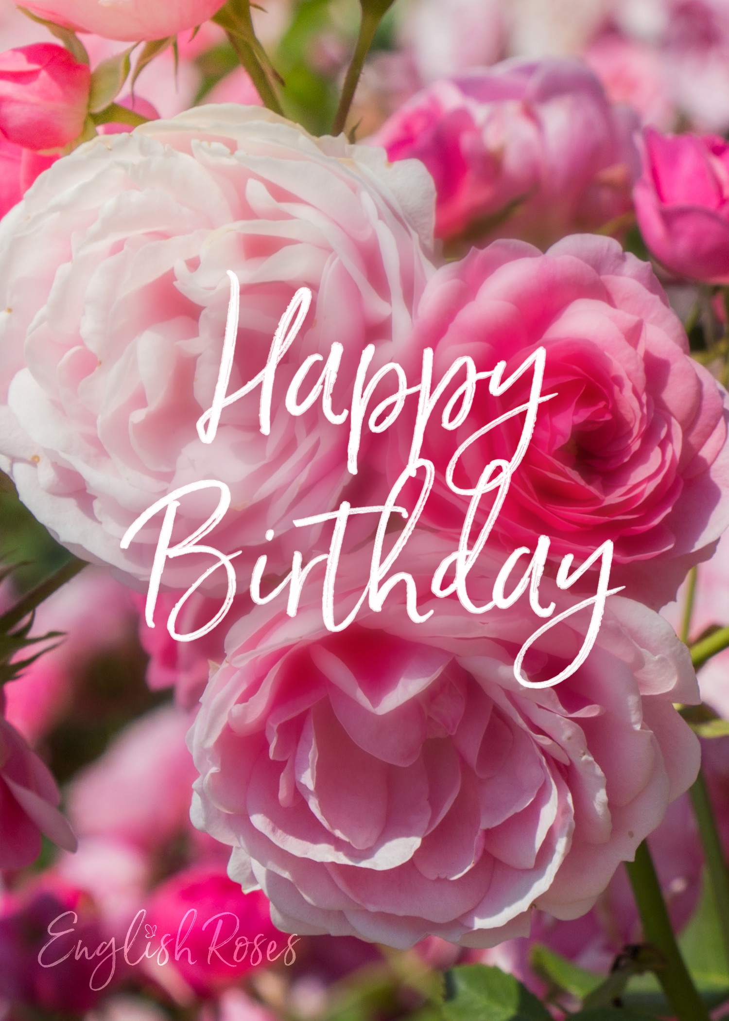 E-Gift Card Birthday