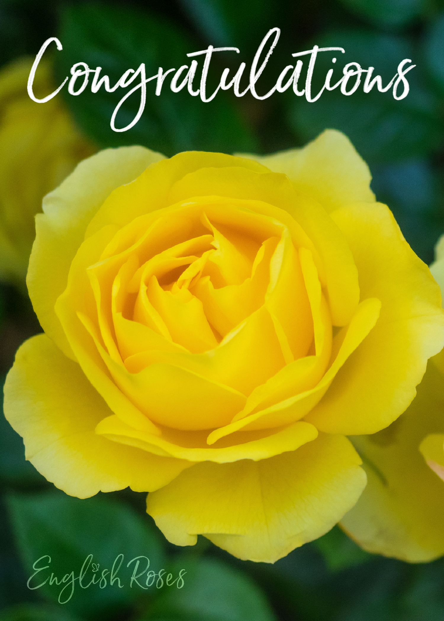 E-Gift Card Congratulations