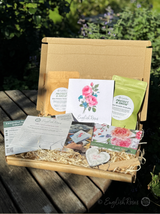 English Roses Letterbox Gift - Sustainable gift idea containing everything needed to choose and grow a rose of choice.