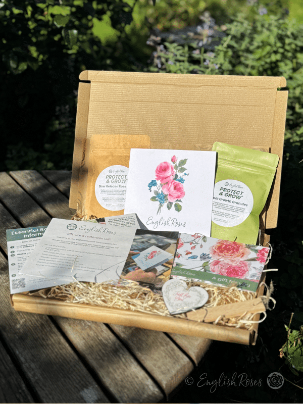 English Roses Letterbox Gift - Sustainable gift idea containing everything needed to choose and grow a rose of choice.