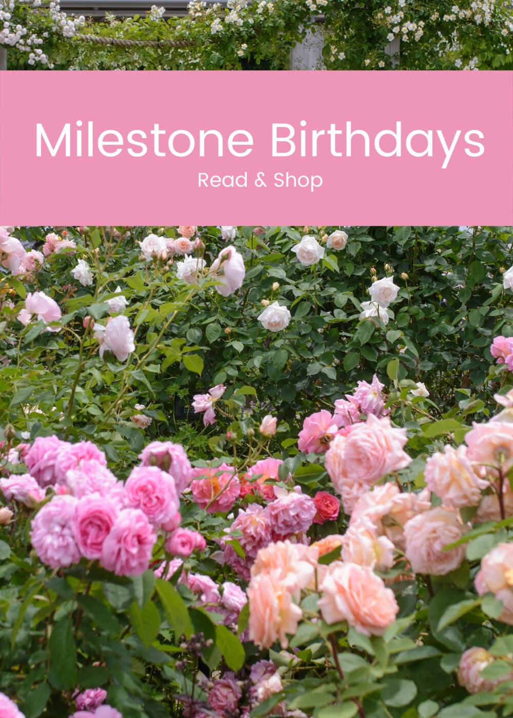 milestone birthday roses