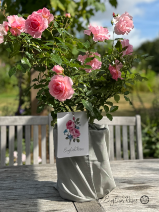 English Roses Cotton Gift Bag Grey