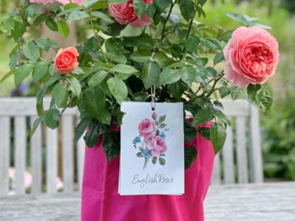 Pink Cotton Drawstring Gift Bag Pink Cotton Drawstring Gift Bag Image