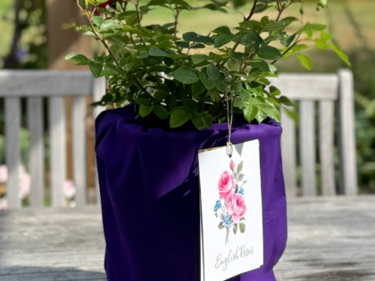 Rich Purple Cotton Drawstring Gift Bag Image