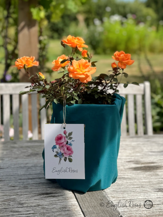 English Roses Cotton Gift Bag Teal