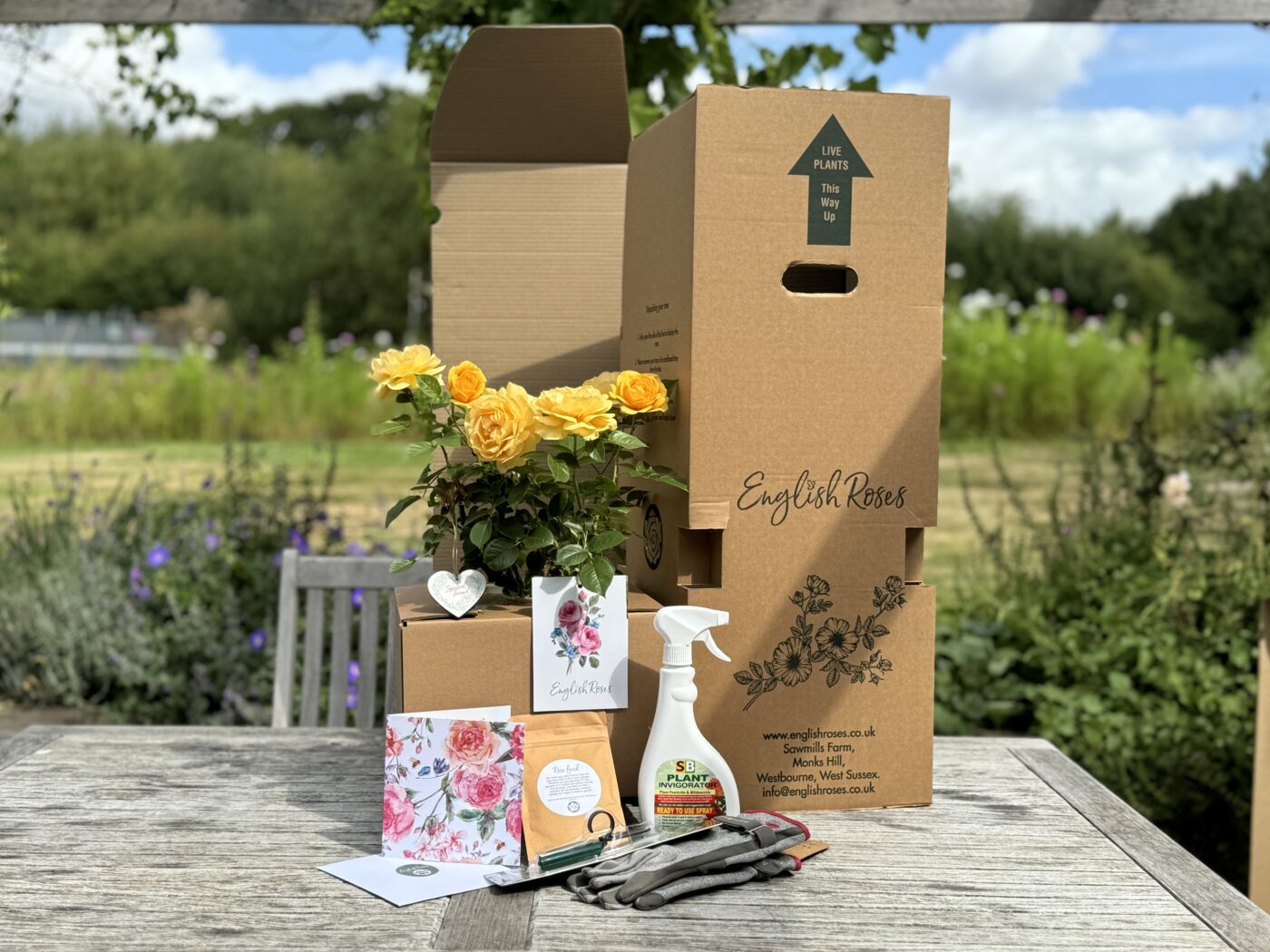 AllPackagingPotted3