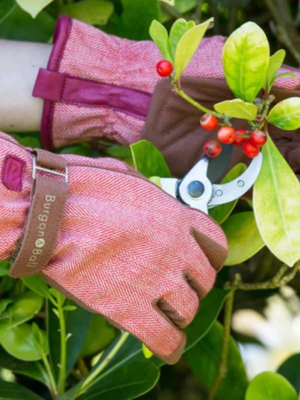 Ladies Red Tweed Gardening Gloves - In use image