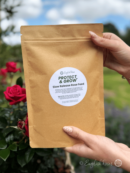 English Roses Protect & Grow Large Rose Feed Sachet in hands