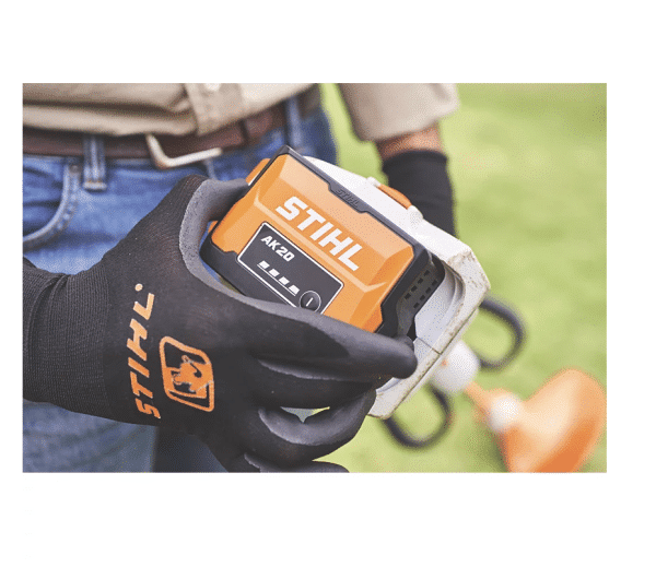 Autumn  - Stihl Competition