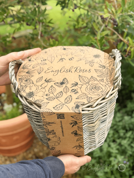 English Roses Deluxe Hamper Packaging - Gift wrap eco friendly car packaging