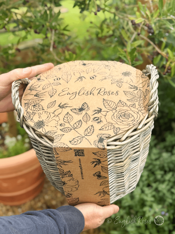 English Roses Deluxe Hamper Packaging - Gift wrap eco friendly car packaging
