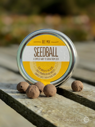 Bee Mix - Wildflower Seedball Tin - Eco friednly bee attracting wildflower seeds.