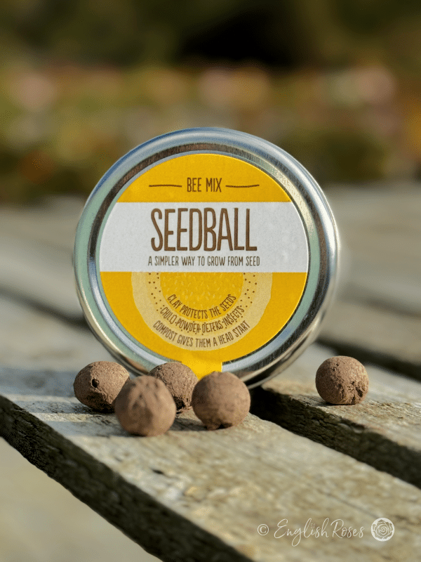 Bee Mix - Wildflower Seedball Tin - Eco friednly bee attracting wildflower seeds.