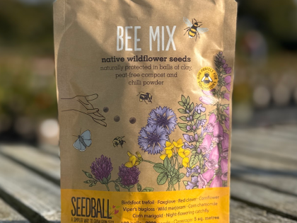 Bee Friendly Mix - Wildflower Seedball Bag Bee Friendly Mix - Wildflower Seedball Bag Image
