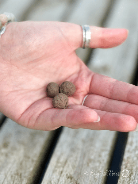 Bee Mix – Wildflower Seedball Matchbox 1 - Close up of the clay seed balls in a hand