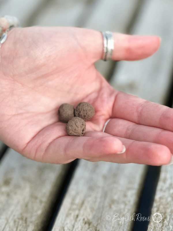 Bee Mix – Wildflower Seedball Matchbox 1 - Close up of the clay seed balls in a hand