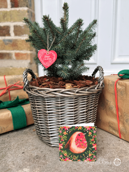 English Roses Planted Christmas Tree 2