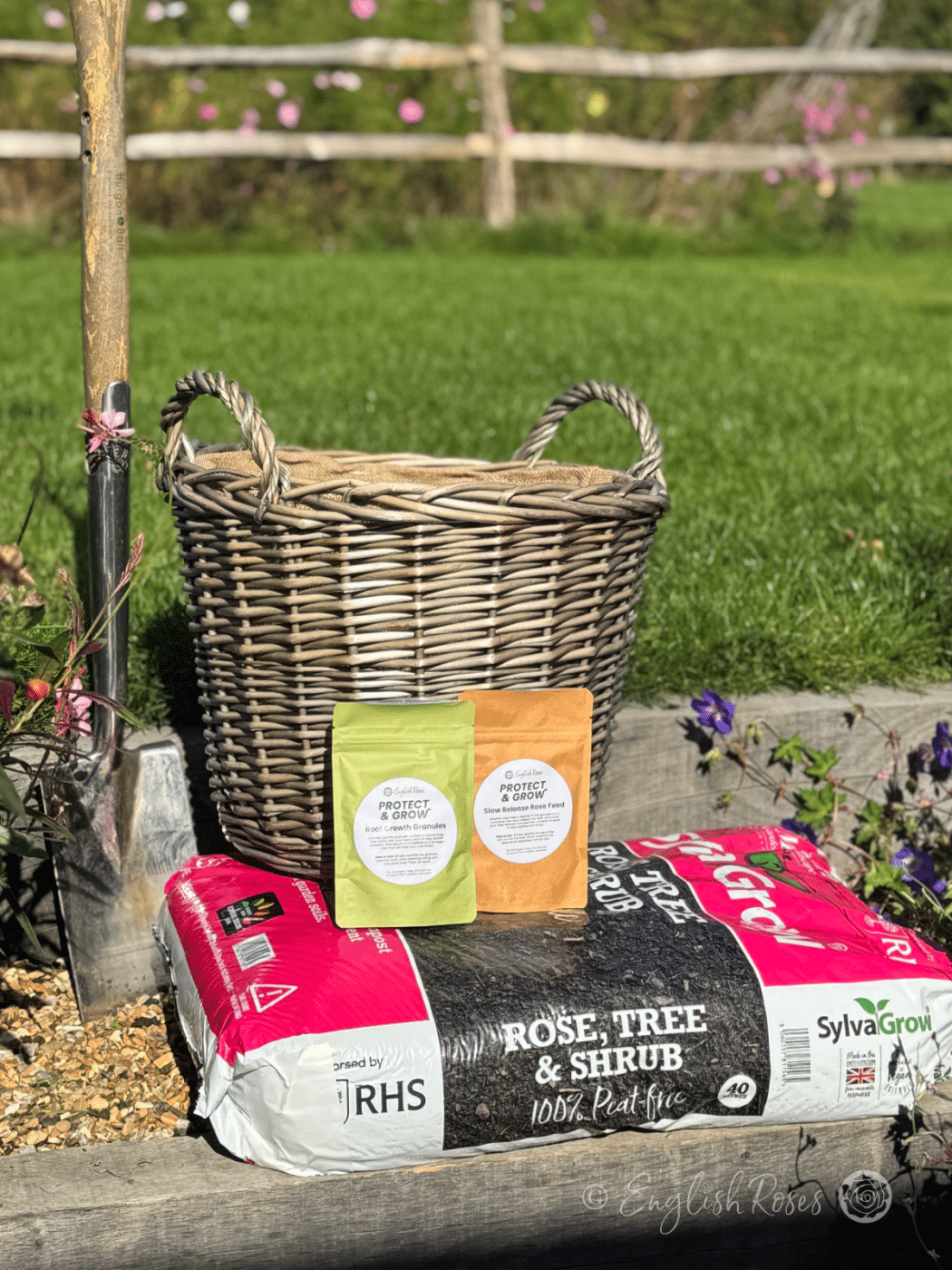 English Roses Re-potting Set - Peat-free compost, Large eco willow planter, rose feed and root growth granules in a sunny garden