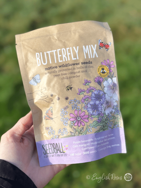 Butterfly Wildflower Seedball Bag Hand holding Bag