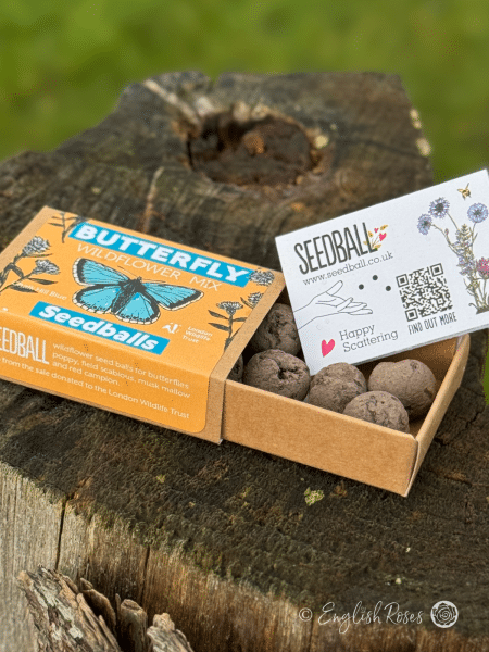 Butterfly Wildflower Seedball Matchbox Open matchbox