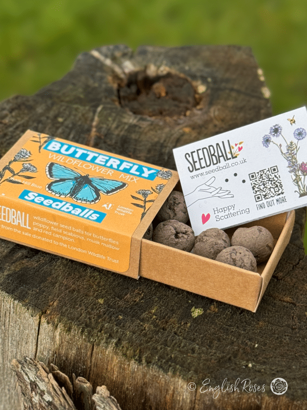 Butterfly Wildflower Seedball Matchbox Open matchbox