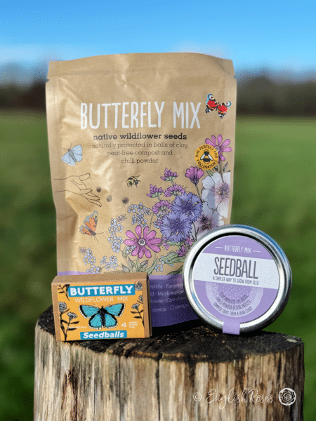 Butterfly Wildflower Seedball Set