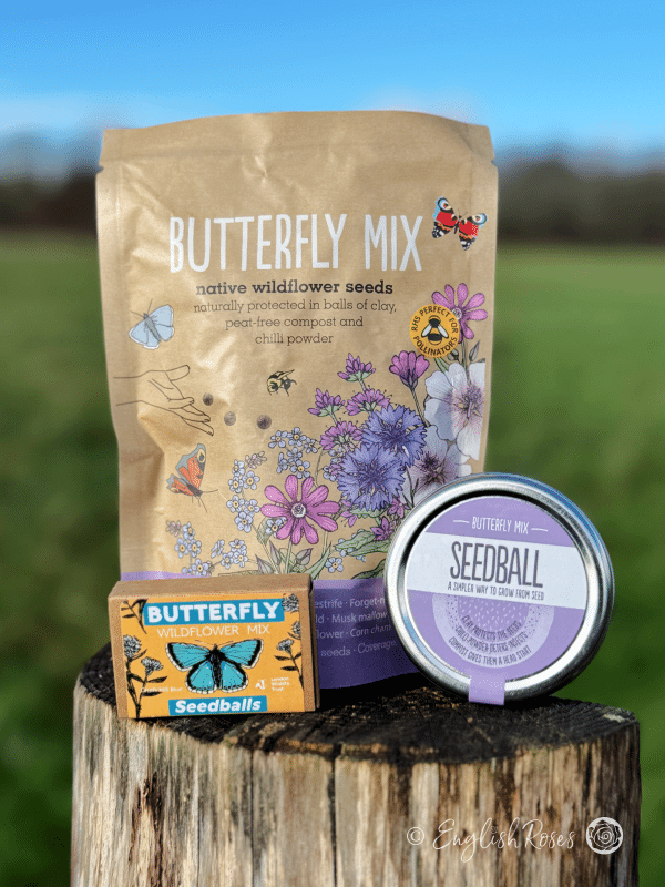 Butterfly Wildflower Seedball Set