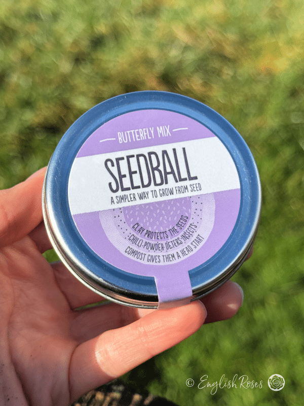 Butterfly Wildflower Seedball Tin Hand holding tin