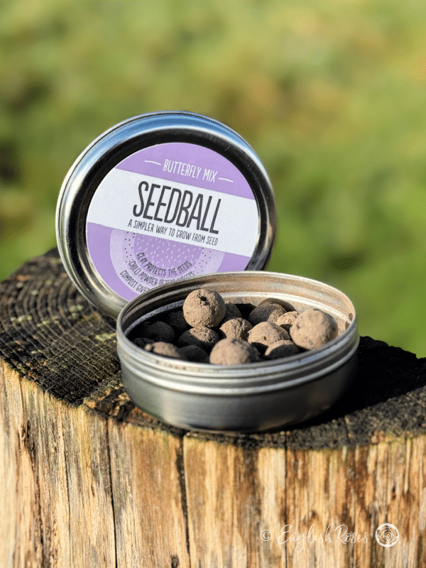 Butterfly Wildflower Seedball Tin Open tin wildflower seeds