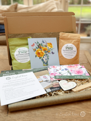 English Roses Mother's Day Gift Box 1 Rose - Sustainable gift idea containing everything needed to choose and grow a rose of choice.
