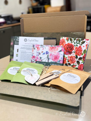 English Roses Valentine Gift Box - Two Rose Letterbox Gift Card