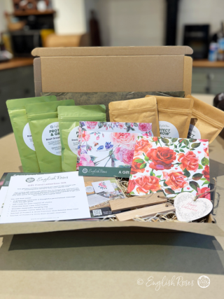 Gift Box For Valentine - Three Rose Letterbox Gift Card From English Roses