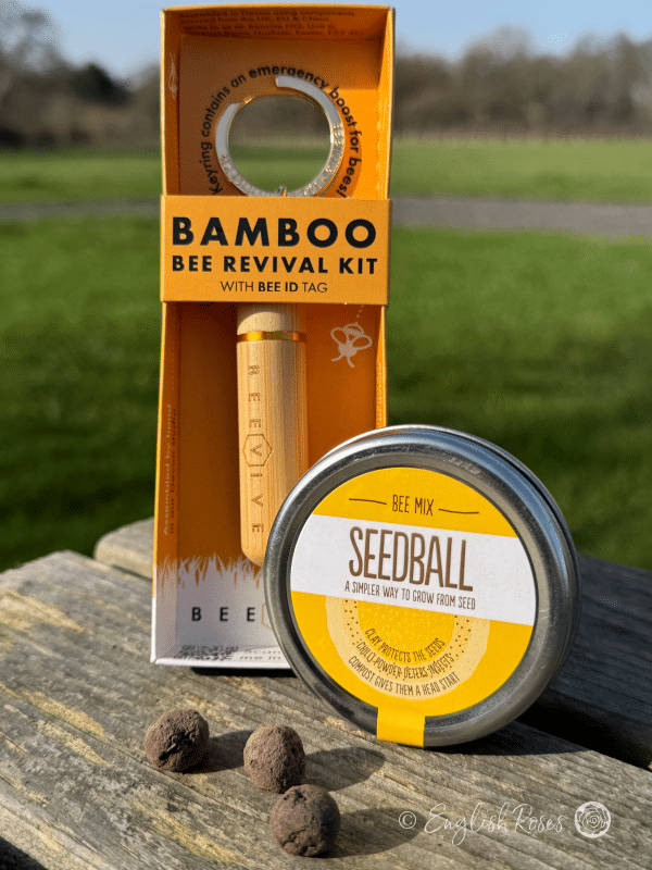 Bee Care Kit Seeds and Beevive Keyring Bamboo