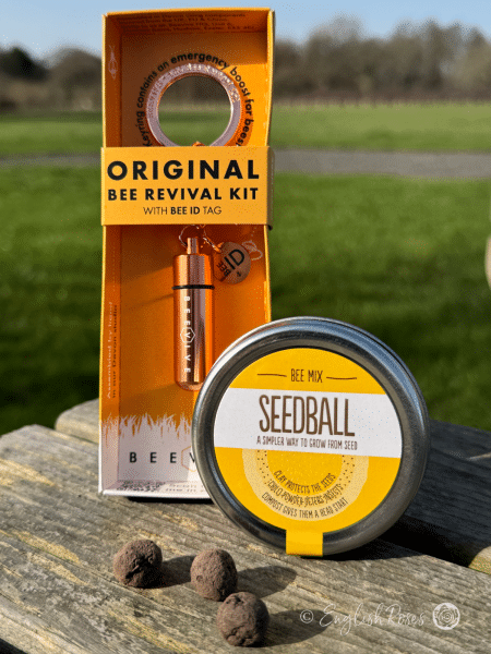 Bee Care Kit Seeds and Beevive Keyring Rose Gold