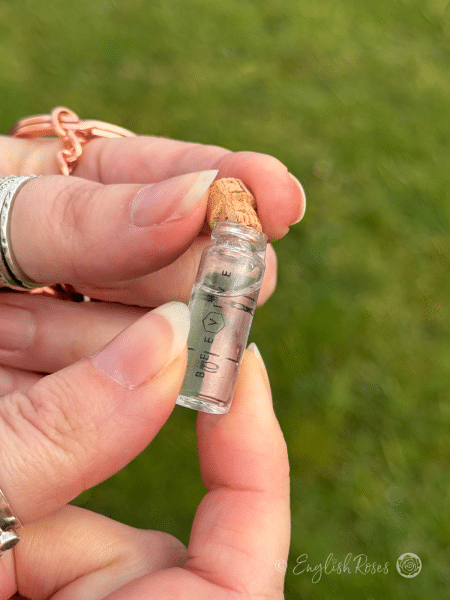Save The Bees! Bee Conservation Essentials Duo - Rose Gold Kit - Image 6