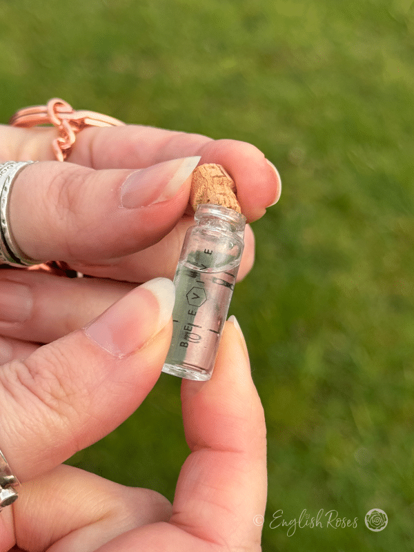 Save The Bees! Bee Conservation Essentials Duo - Rose Gold Kit