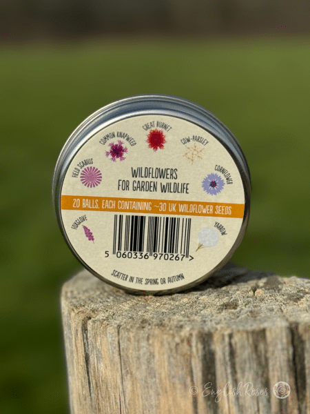 Beetle Friendly Mix - Wildflower Seedball Tin - Image 2