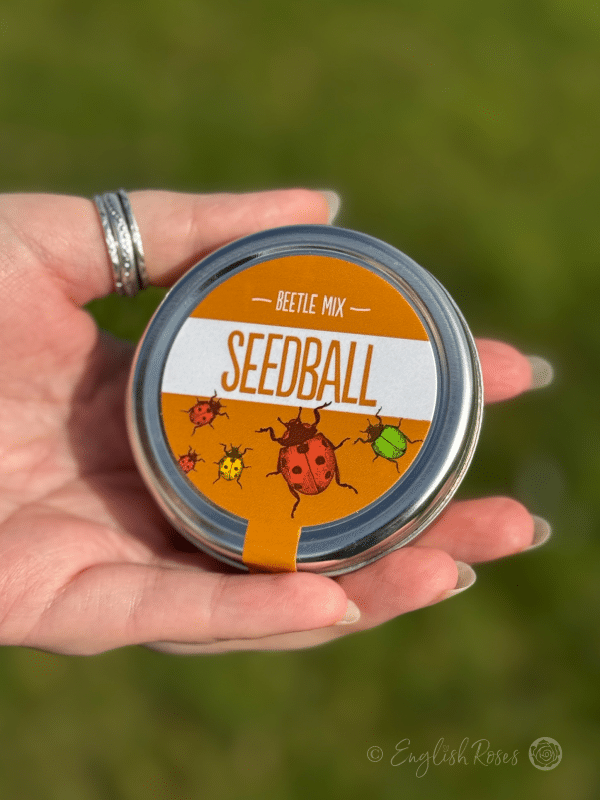 Beetle Friendly Mix - Wildflower Seedball Tin