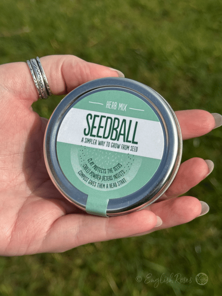 Garden Herb Mix - Seedball Tin - Image 3