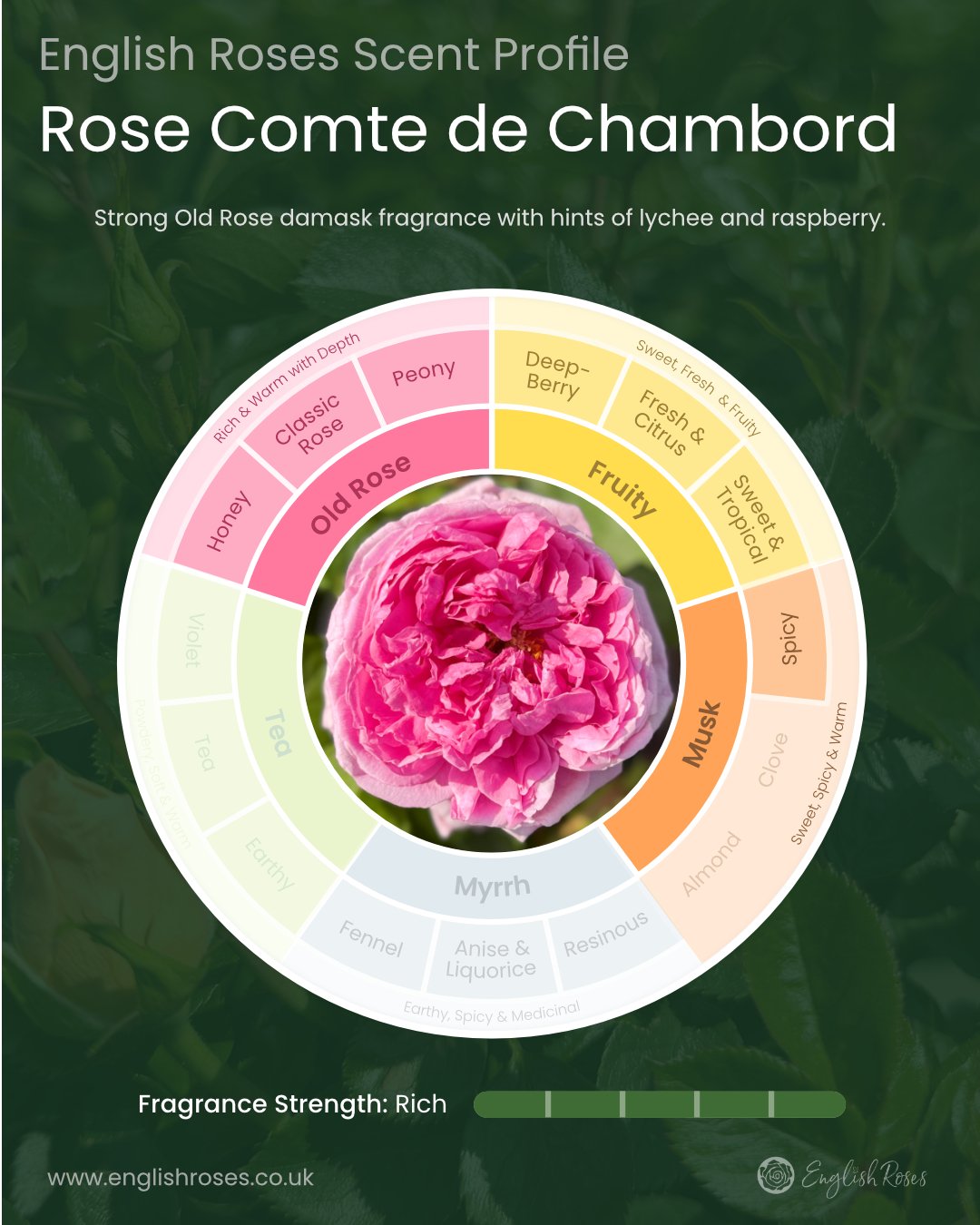 ERVL_Comte de Chambord Rose Scent Profile