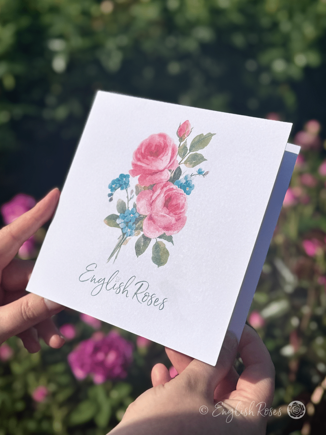 Reshaim Roses Card 'English Roses' Greetings Card - FREE Gift Message Printing - English Roses