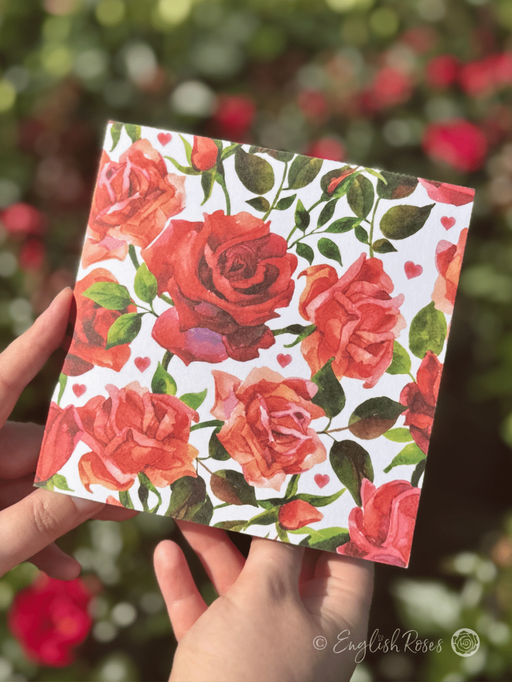 Watercolour Greetings Card Red Roses and Hearts