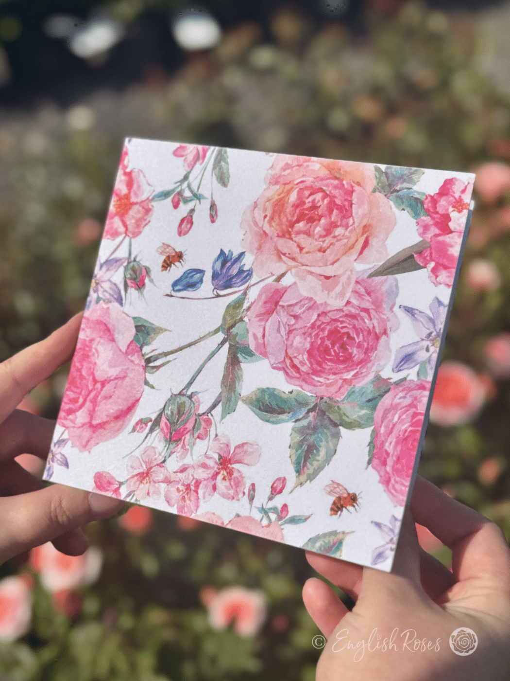 Watercolour Greetings Card Roses and Bees Pink Apricot Roses